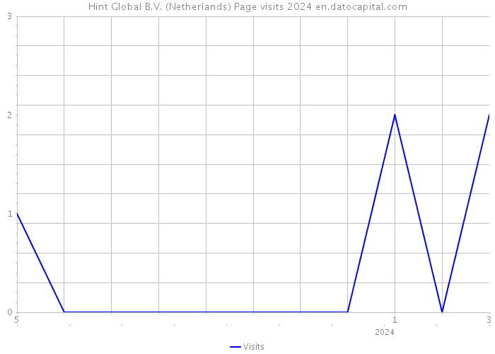 Hint Global B.V. (Netherlands) Page visits 2024 