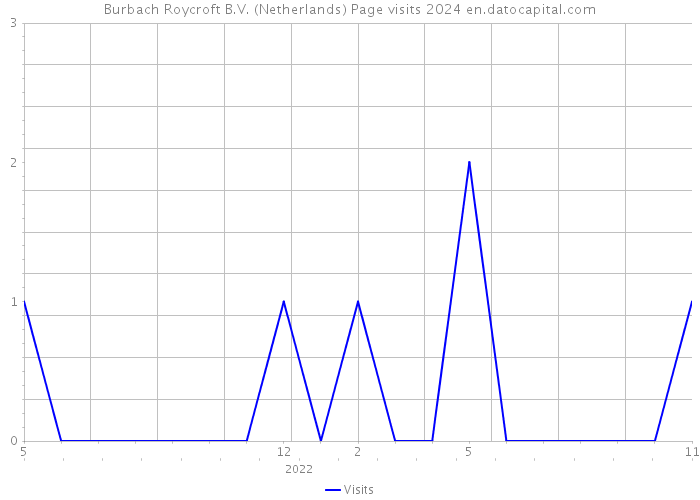 Burbach Roycroft B.V. (Netherlands) Page visits 2024 