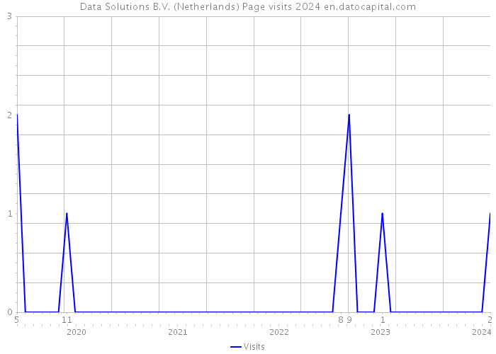 Data Solutions B.V. (Netherlands) Page visits 2024 