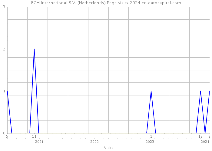 BCH International B.V. (Netherlands) Page visits 2024 