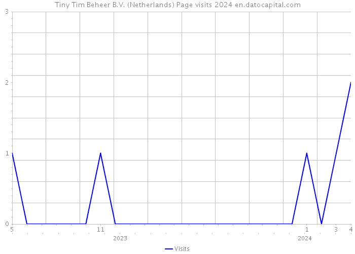 Tiny Tim Beheer B.V. (Netherlands) Page visits 2024 