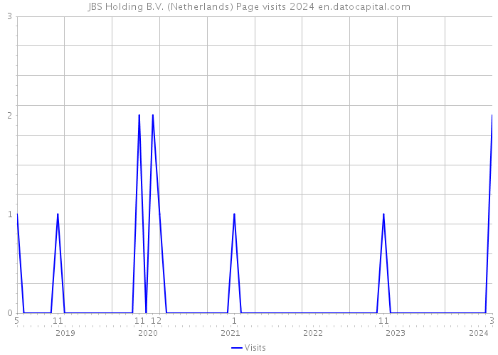 JBS Holding B.V. (Netherlands) Page visits 2024 