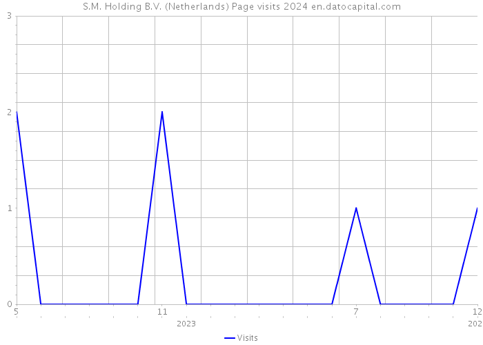 S.M. Holding B.V. (Netherlands) Page visits 2024 