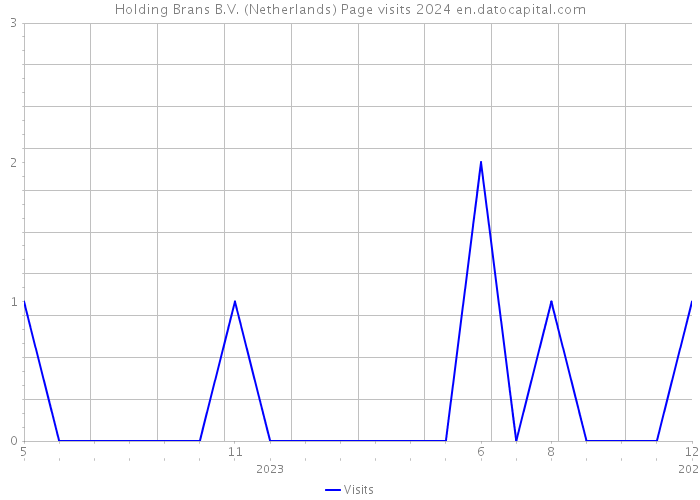 Holding Brans B.V. (Netherlands) Page visits 2024 