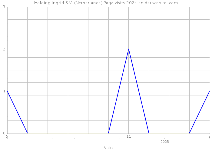 Holding Ingrid B.V. (Netherlands) Page visits 2024 