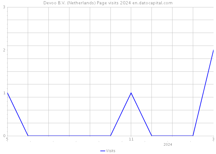 Devoo B.V. (Netherlands) Page visits 2024 