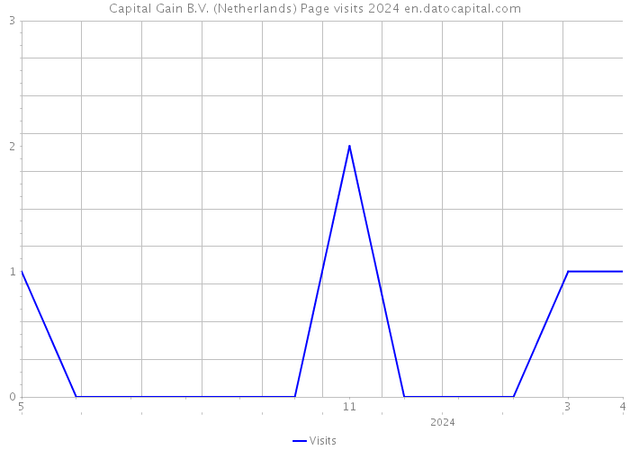 Capital Gain B.V. (Netherlands) Page visits 2024 