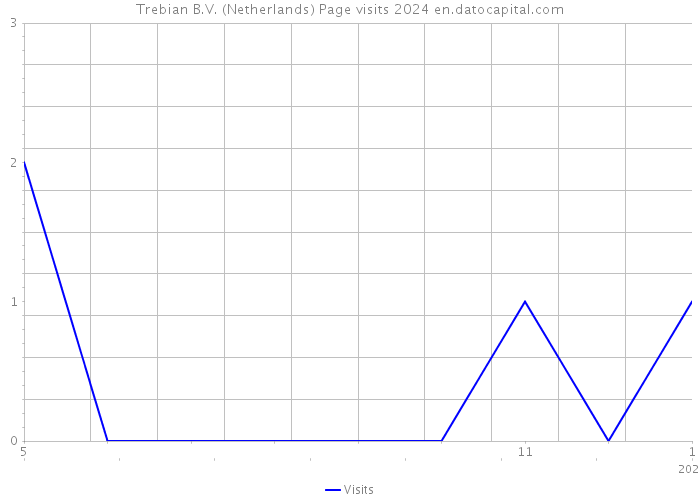 Trebian B.V. (Netherlands) Page visits 2024 