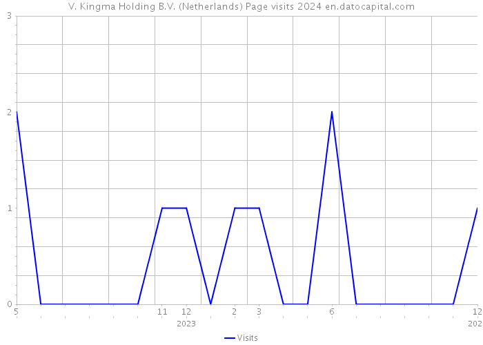 V. Kingma Holding B.V. (Netherlands) Page visits 2024 