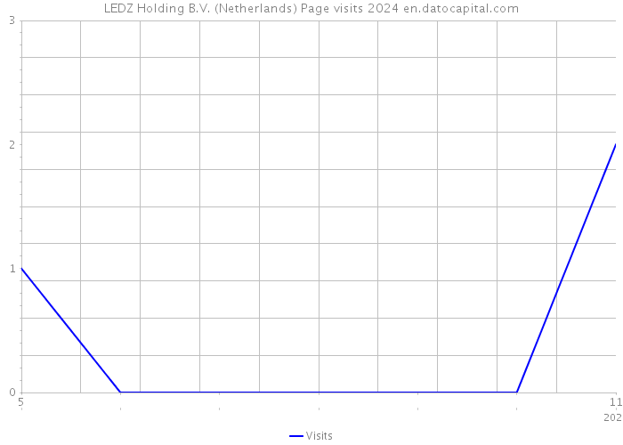 LEDZ Holding B.V. (Netherlands) Page visits 2024 