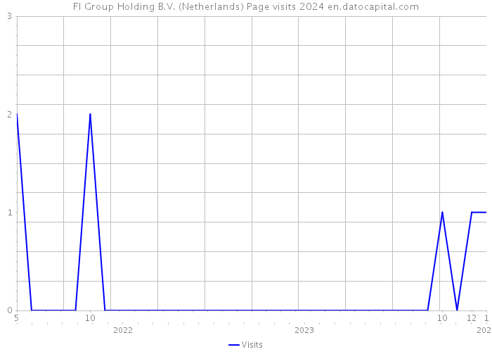 FI Group Holding B.V. (Netherlands) Page visits 2024 