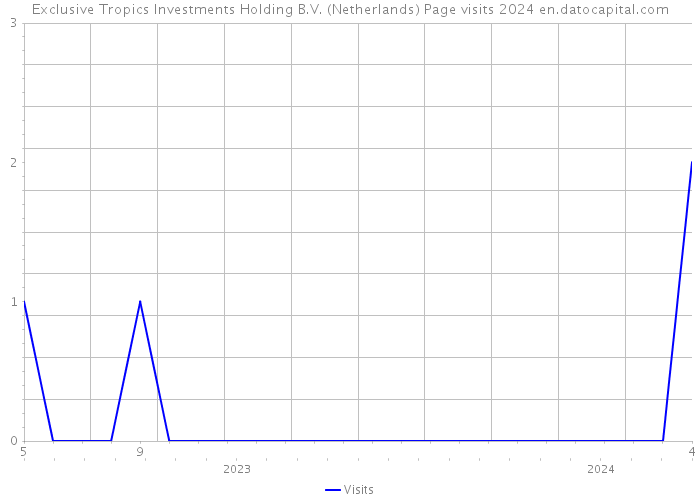 Exclusive Tropics Investments Holding B.V. (Netherlands) Page visits 2024 