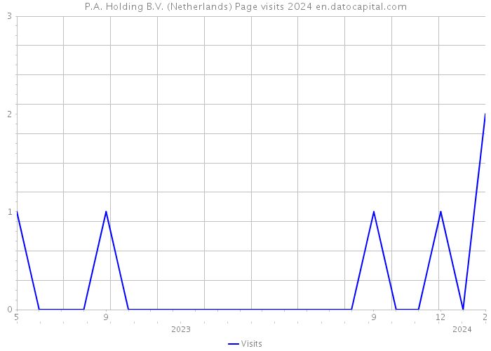 P.A. Holding B.V. (Netherlands) Page visits 2024 