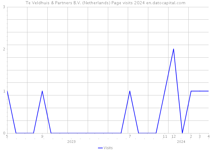 Te Veldhuis & Partners B.V. (Netherlands) Page visits 2024 