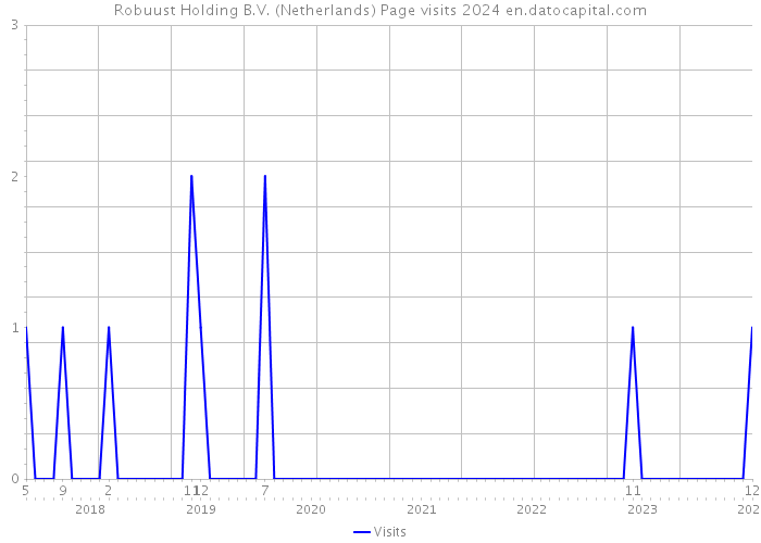 Robuust Holding B.V. (Netherlands) Page visits 2024 
