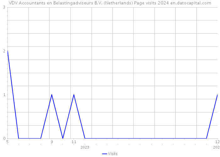 VDV Accountants en Belastingadviseurs B.V. (Netherlands) Page visits 2024 