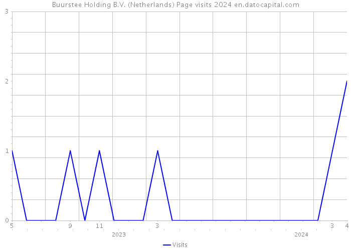 Buurstee Holding B.V. (Netherlands) Page visits 2024 