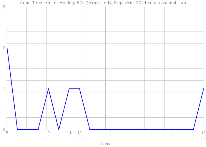 Arjan Timmermans Holding B.V. (Netherlands) Page visits 2024 