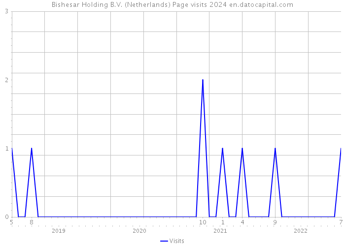 Bishesar Holding B.V. (Netherlands) Page visits 2024 