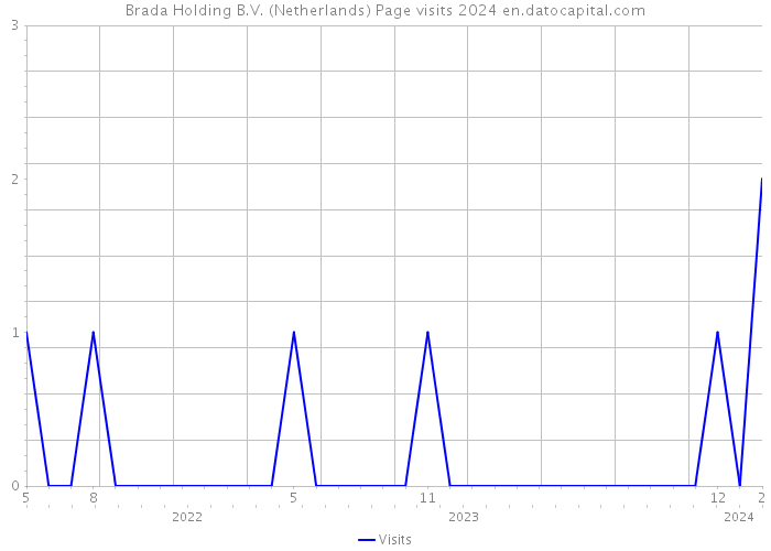 Brada Holding B.V. (Netherlands) Page visits 2024 