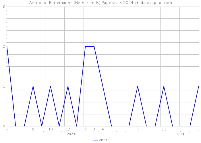 Aernoudt Bottemanne (Netherlands) Page visits 2024 