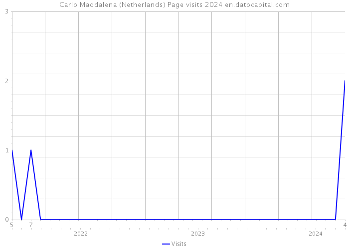 Carlo Maddalena (Netherlands) Page visits 2024 