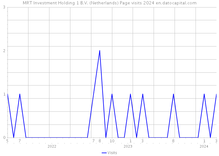 MRT Investment Holding 1 B.V. (Netherlands) Page visits 2024 