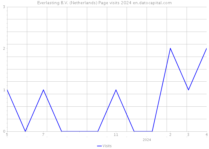 Everlasting B.V. (Netherlands) Page visits 2024 