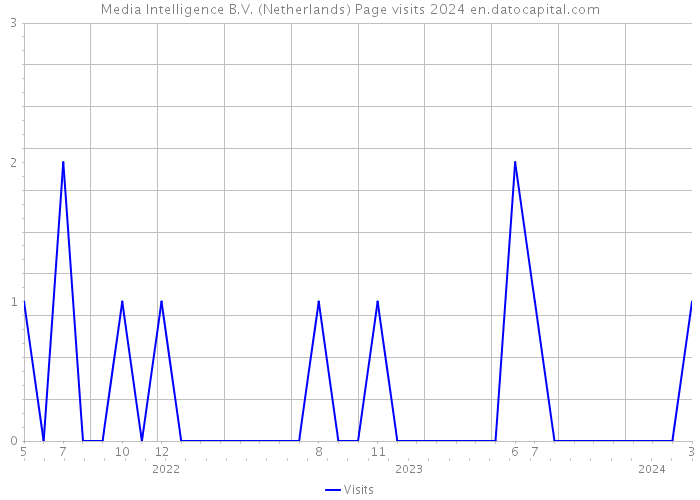 Media Intelligence B.V. (Netherlands) Page visits 2024 