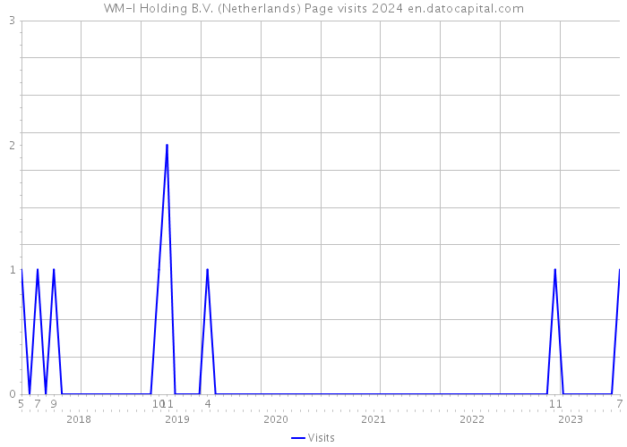WM-I Holding B.V. (Netherlands) Page visits 2024 