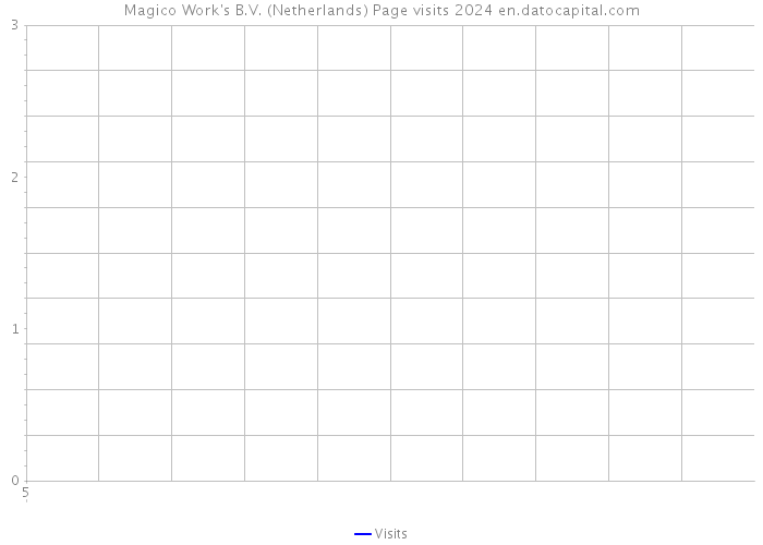 Magico Work's B.V. (Netherlands) Page visits 2024 