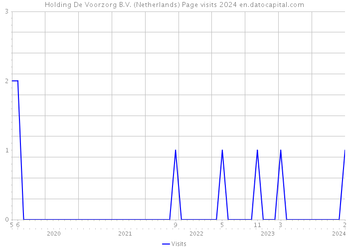 Holding De Voorzorg B.V. (Netherlands) Page visits 2024 