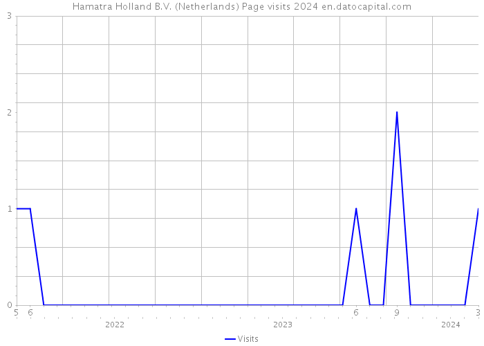 Hamatra Holland B.V. (Netherlands) Page visits 2024 