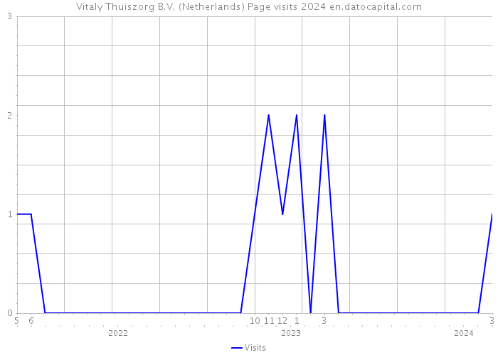 Vitaly Thuiszorg B.V. (Netherlands) Page visits 2024 