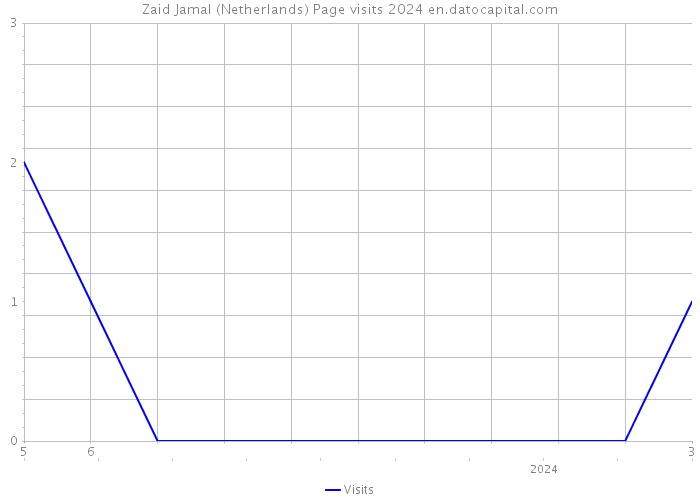 Zaid Jamal (Netherlands) Page visits 2024 