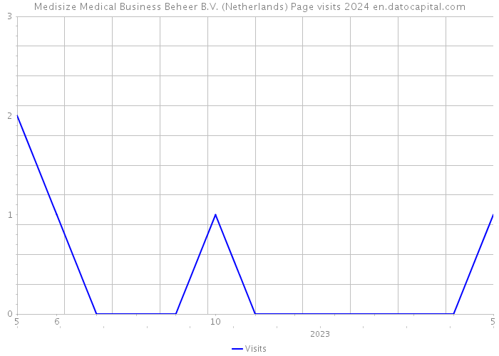 Medisize Medical Business Beheer B.V. (Netherlands) Page visits 2024 