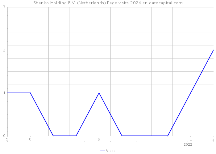 Shanko Holding B.V. (Netherlands) Page visits 2024 