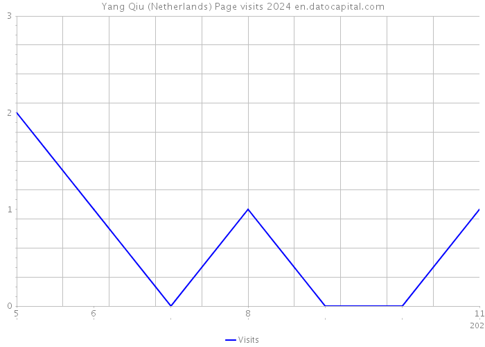Yang Qiu (Netherlands) Page visits 2024 