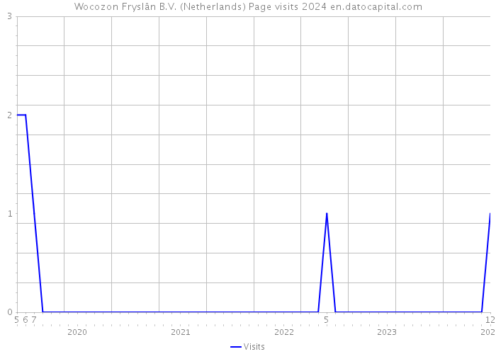 Wocozon Fryslân B.V. (Netherlands) Page visits 2024 