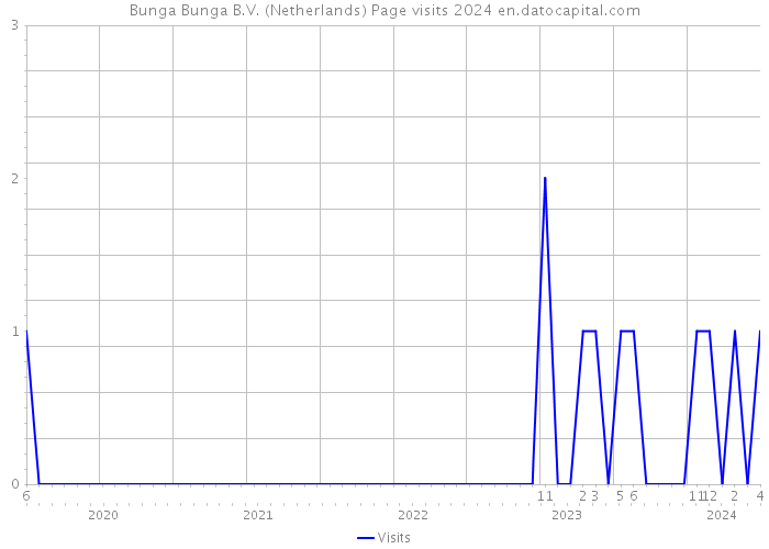 Bunga Bunga B.V. (Netherlands) Page visits 2024 