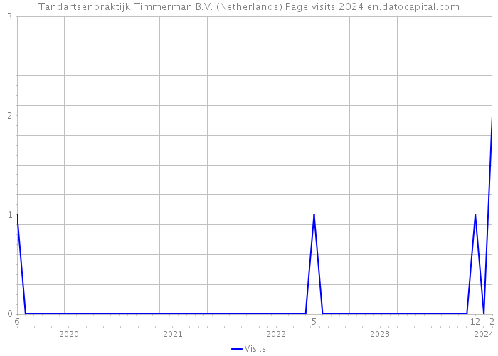 Tandartsenpraktijk Timmerman B.V. (Netherlands) Page visits 2024 