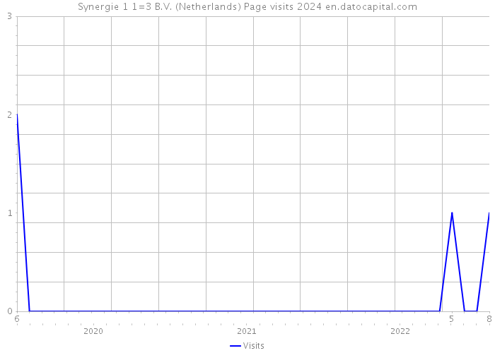 Synergie 1+1=3 B.V. (Netherlands) Page visits 2024 