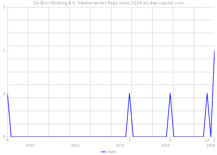 De Bois Holding B.V. (Netherlands) Page visits 2024 
