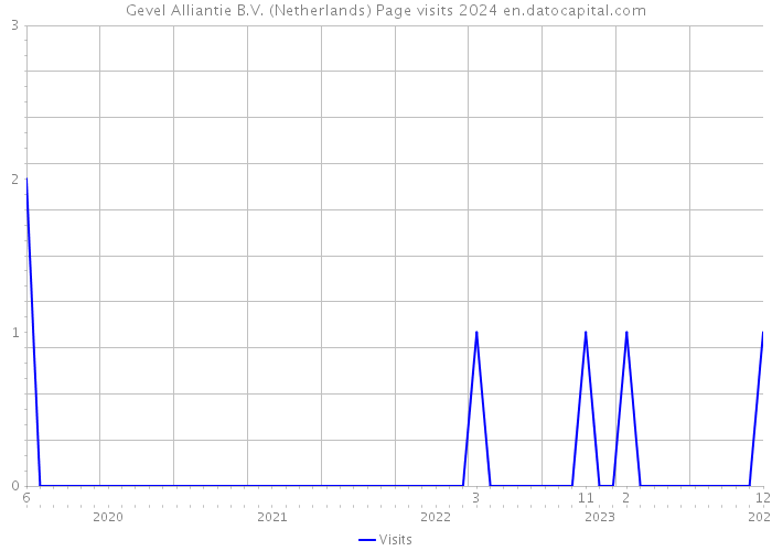 Gevel Alliantie B.V. (Netherlands) Page visits 2024 