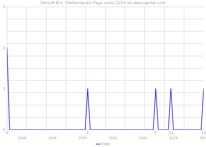 Netsoft B.V. (Netherlands) Page visits 2024 