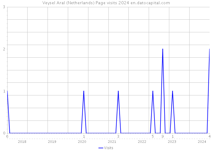 Veysel Aral (Netherlands) Page visits 2024 