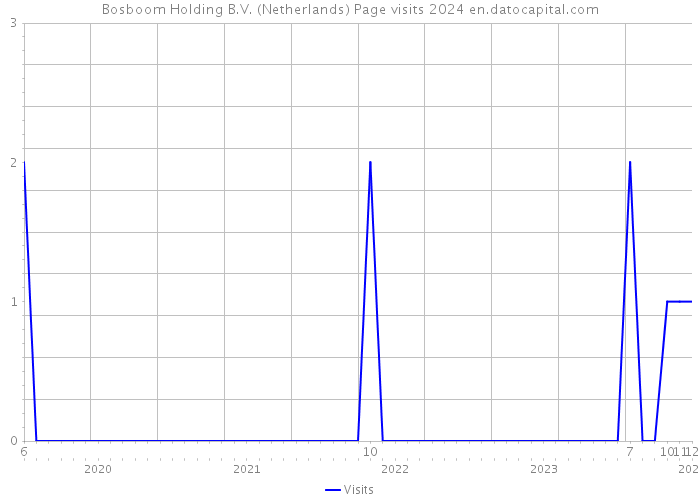 Bosboom Holding B.V. (Netherlands) Page visits 2024 