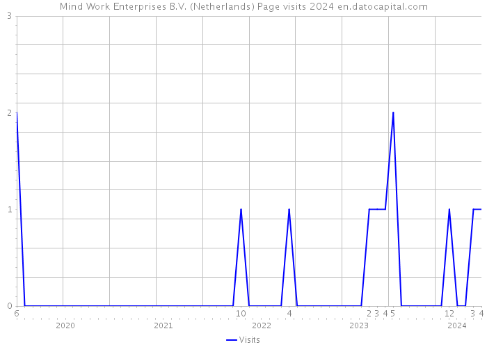 Mind Work Enterprises B.V. (Netherlands) Page visits 2024 