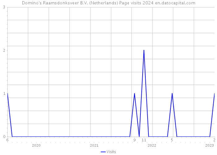 Domino's Raamsdonksveer B.V. (Netherlands) Page visits 2024 