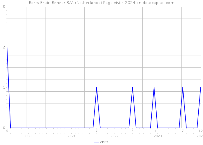 Barry Bruin Beheer B.V. (Netherlands) Page visits 2024 